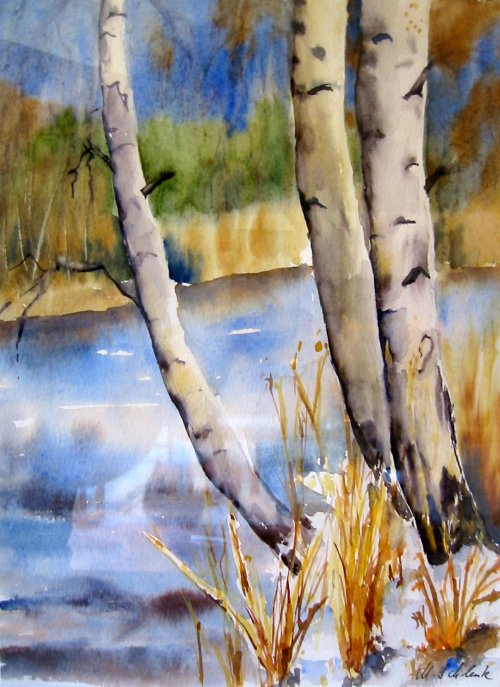 Dechsendorfer Weiher